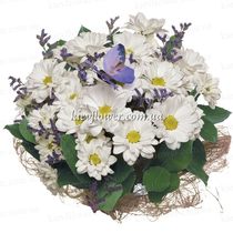 Bouquet Chamomile miracle